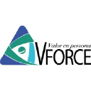vforce.com.mx