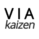 viakaizen.com