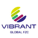 vibrant-global.com
