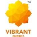 vibrantenergyholdings.com