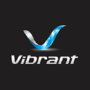 vibrantsoftwareltd.com