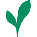 Vibrato Medical, Inc.