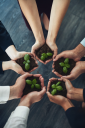 Vichara Partners