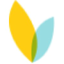 VideoBloom