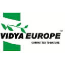 vidyaeurope.com