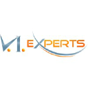 viexperts.com