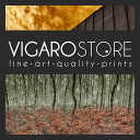 Vigarostore
