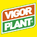 vigorplant.it