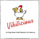 vikilicious.com
