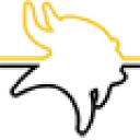 Viking Informatics Ltd