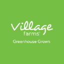village farms international inc