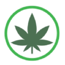 The village green Dispensary Logo