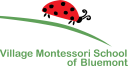 Village Montessori School at Bluemont