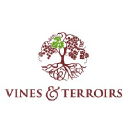vinesandterroirs.com