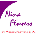 violetaflowerssa.net