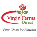 Virgin Farms Direct Inc