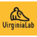 virginialab.com.py
