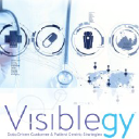 visiblegy.com