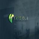 visibleintellect.com