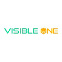 Visible One