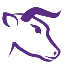 visibull local seo