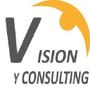 visionyconsulting.com