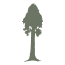 Visit Sequoia Kings