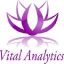 vital-analytics.com