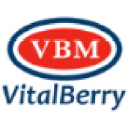 vitalberry.com