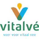 vitalve.nl