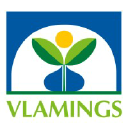 vlamings.nl