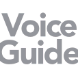 voiceguide.com