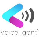 voiceligent.com