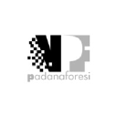 Creditsafe Business Index rapport