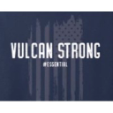vulcangms.com