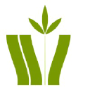 walker area community foundation