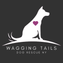 Wagging Tails of Westchester