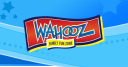 wahoozfunzone.com