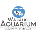 waikikiaquarium.org