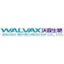 walvax.com