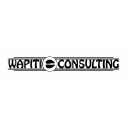 wapiti-consulting.com