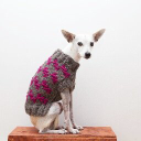 wareofthedog.com