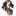 Warmane