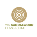 wasandalwood.com