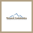 wasatchendodontics.com