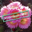 Waterwise Botanicals