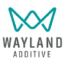 waylandadditive.com