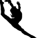 wcgcgymnastics.com