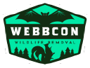 Webbcon LLC