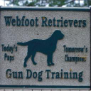 Webfoot Retrievers